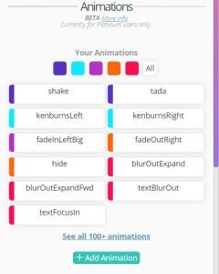 The animations panel