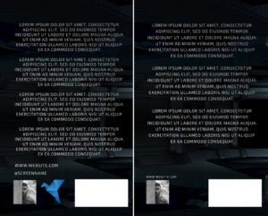 Teresa Conner showing why less is more on a book's back cover