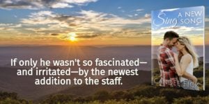 Sunset image echoing the sunset on the cover of Candee Fick's Sing A New Song Book for Blurb phrase blog on Book Brush